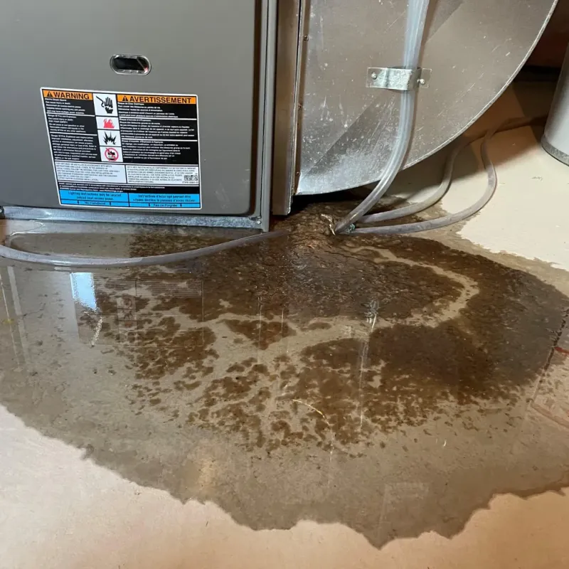 Appliance Leak Cleanup in Morris, OK